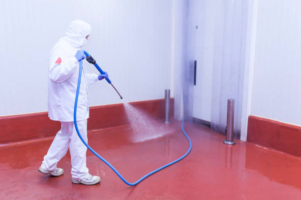 Best Rust Removal  in Cohasset, MN